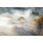 Fototapeta mgła nad lasem, góry, las 5579