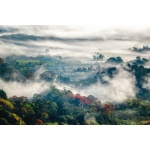 Fototapeta widok, góry, las, mgła 5125