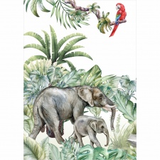 Plakat dla dzieci słonie PS094