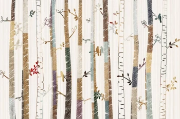  Fototapeta brzozy 4196