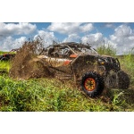 Fototapeta buggy 3811