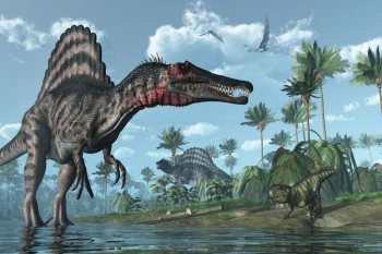  Fototapeta dinozaur 1182