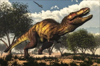  Fototapeta dinozaur 1808