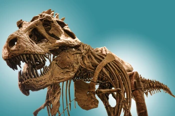  Fototapeta dinozaur 4306