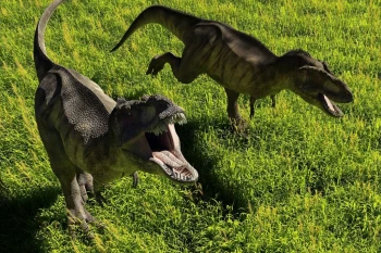  Fototapeta dinozaury 1184