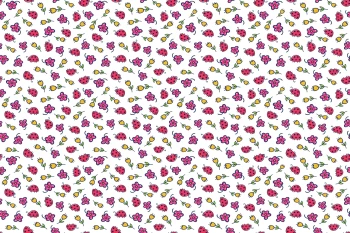  Fototapeta dla dzieci biedronki 2461