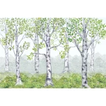  Fototapeta dla dzieci drzewa, las, natura dwk320