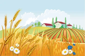  Fototapeta dla dzieci gospodarstwo 1315