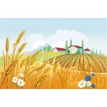 Fototapeta dla dzieci gospodarstwo 1315