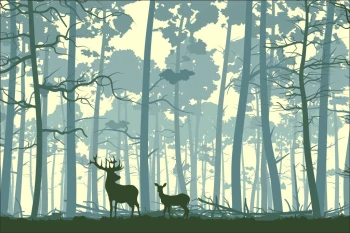  Fototapeta dla dzieci las 1453