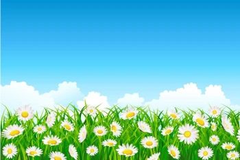  Fototapeta dla dzieci łąka 1462