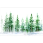  Fototapeta dla dzieci las, choinki, akwarela dwk319