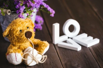  Fototapeta dla dzieci misiek 184a