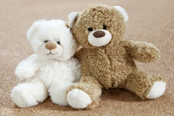  Fototapeta dla dzieci misie 188a