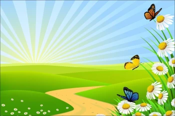  Fototapeta dla dzieci motyle 1454