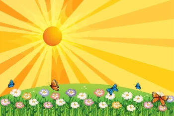  Fototapeta dla dzieci motyle 1471