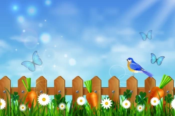  Fototapeta dla dzieci motylki 2604