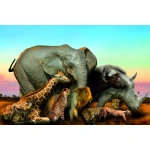  Fototapeta dla dzieci na wymiar nosorożec, lampart, słoń, lew dwk226