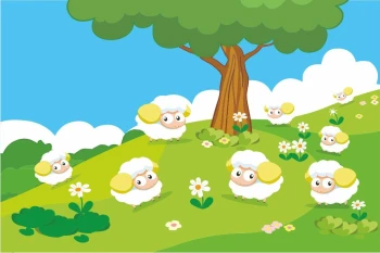  Fototapeta dla dzieci owieczki 1302