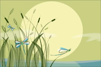  Fototapeta dla dzieci owady 1372