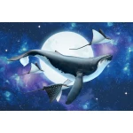  Fototapeta dla dzieci płaszczka, ocean, orka, podwodny świat dwk127