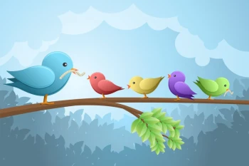  Fototapeta dla dzieci ptaszki 1378