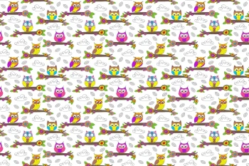  Fototapeta dla dzieci sowy 2456