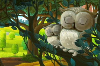  Fototapeta dla dzieci sowy 4829