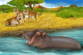  Fototapeta dla dzieci zwierzątka 4825