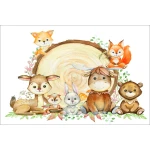   Fototapeta do pokoju dziecięcego leśne zwierzęta dwk092