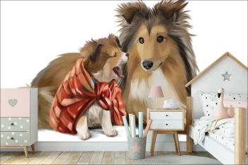  Fototapeta do pokoju dziecięcego pieski, piesek Collie, szczeniaczek dwk133