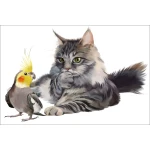  Fototapeta do pokoju dziecięcego kot, papuga dwk136