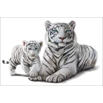  Fototapeta do pokoju dziecięcego tygrysy, dzikie koty, tygrysek dwk137