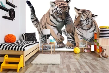  Fototapeta do pokoju dziecięcego tygrysy, dzikie koty, tygrysek dwk139