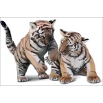  Fototapeta do pokoju dziecięcego tygrysy, dzikie koty, tygrysek dwk139