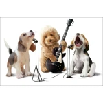  Fototapeta do pokoju dziecięcego śpiewające pieski, pieski, gitara dwk141