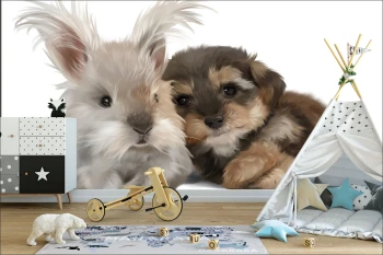  Fototapeta do pokoju dziecięcego króliczek, piesek, przyjaciele dwk142