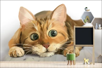  Fototapeta do pokoju dziecięcego kotek, kociak dwk144