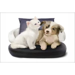  Fototapeta do pokoju dziecięcego przyjaciele, pies, kot dwk147