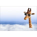  Fototapeta do pokoju dziecięcego żyrafa dwk149