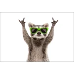  Fototapeta do pokoju dziecięcego szop, wesoły szop dwk150