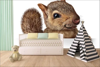  Fototapeta do pokoju dziecięcego wiewiórka dwk151