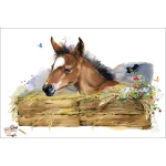  Fototapeta do pokoju dziecięcego koń, akwarela, łany zbóż dwk153