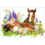  Fototapeta do pokoju dziecięcego koń, łany zbóż, polana, kotki, koń na polanie dwk158