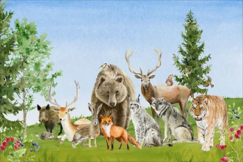  Fototapeta do pokoju dziecięcego dzikie zwierzęta, leśne zwierzęta dwk160