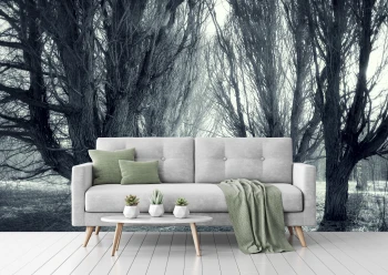  Fototapeta drzewa 4402