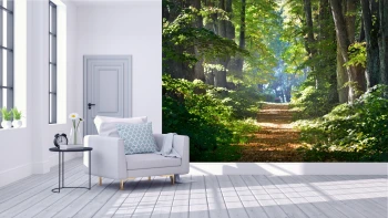  Fototapeta drzewa 4413