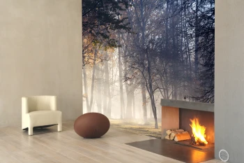  Fototapeta drzewa 4421