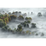  Fototapeta góry, las, widok, krajobraz 5580