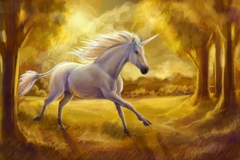  Fototapeta jednorożec 2846